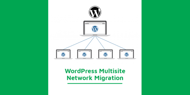 WP Multisite Network Migration