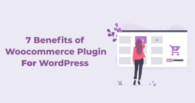 Benefits of WooCommerce Plugin